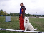 BBI Výstava a Mistrovství BŠO - Česká Skalice (20. - 21.9.2008 )