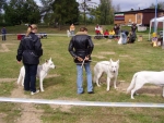 BBI Výstava a Mistrovství BŠO - Česká Skalice (20. - 21.9.2008 )