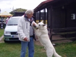 BBI Výstava a Mistrovství BŠO - Česká Skalice (20. - 21.9.2008 )