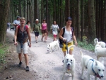 Výcvikový tábor - Rýzmburk 2008