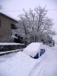 Zima 2010